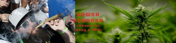 дживик Дмитров