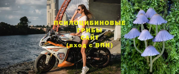 первитин Ельня