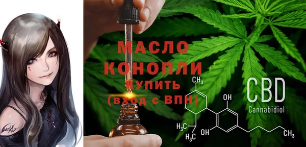 дмт Дмитровск